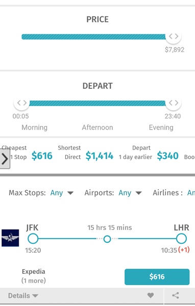 airline tickets - Preview 1