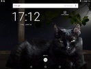 Cat Live Wallpaper screenshot 2