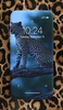 Leopard Wallpaper screenshot 6