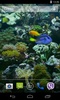 Aquarium Video Live Wallpaper screenshot 3
