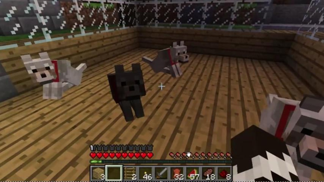 Pet Ideas - Minecraft - Preview 1