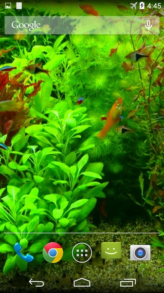Real Aquarium 3D Wallpaper - Preview 1