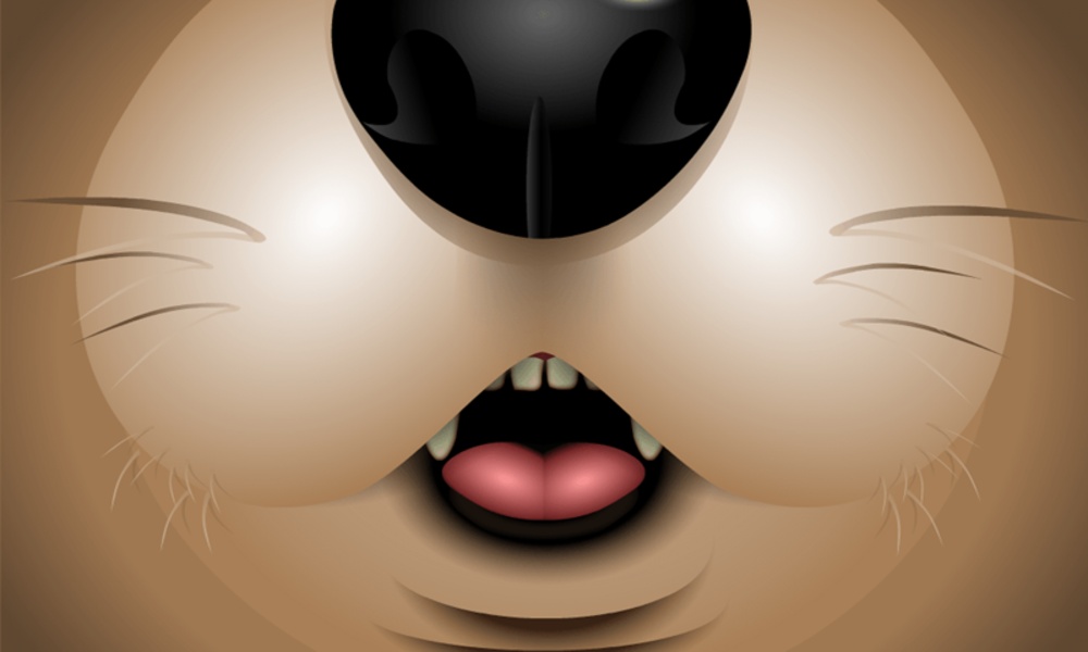 hellozoo lite - Preview 4
