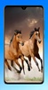 Horse Wallpaper 4K screenshot 12