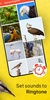 Animals & Birds Ringtones screenshot 3