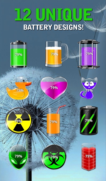 Customized Battery - Preview 5