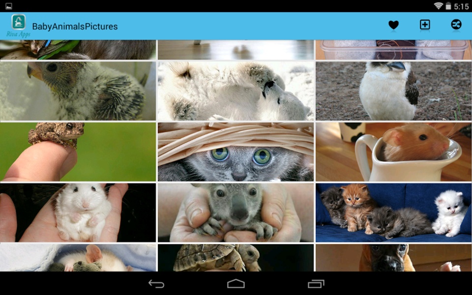 BabyAnimalsPictures - Preview 2