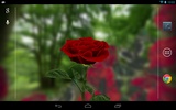 3D Rose Live Wallpaper Free screenshot 4