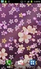 Cherry Blossom Live Wallpaper(Free) screenshot 5
