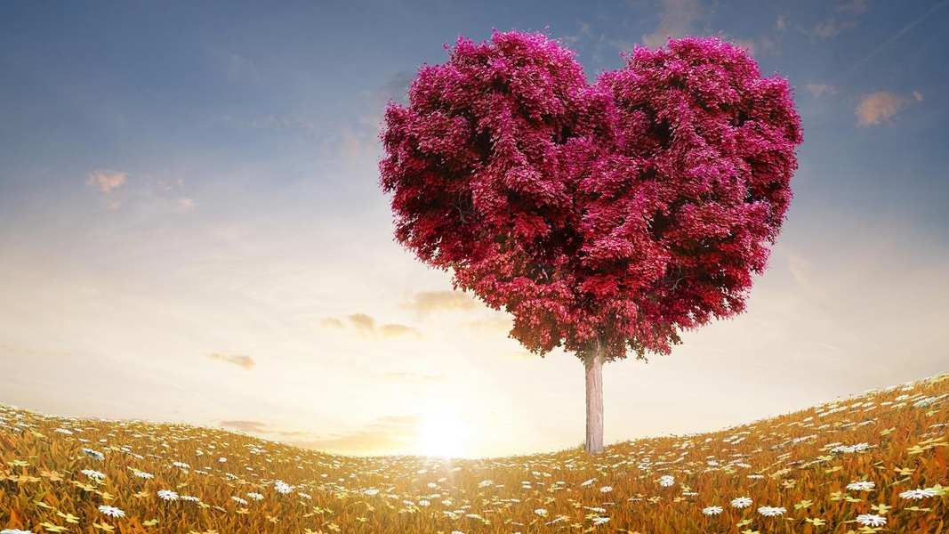 Love Tree Live Wallpaper - Preview 2