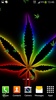 Marijuana Live Wallpaper screenshot 8