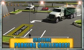 Road Truck Parking Madness 3D screenshot 11
