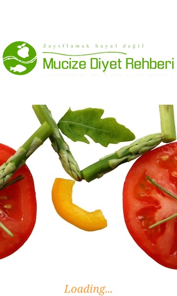 Miracle Diet Guide - Preview 7