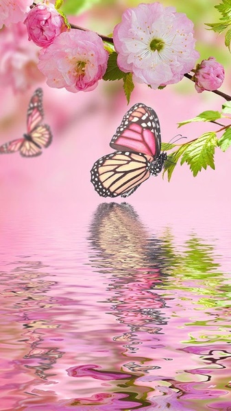 Spring Flowers Live Wallpaper - Preview 7