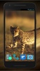 Cheetah Video Live Wallpaper screenshot 2