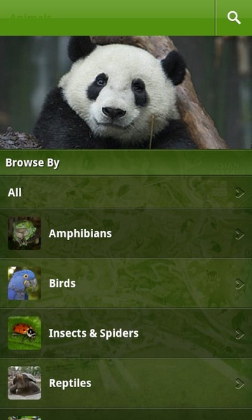 SanDiegoZoo - Preview 4