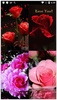 Rose Live Wallpapers screenshot 3