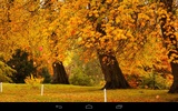 Autumn Wallpaper screenshot 9