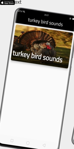 turkey bird sounds - Preview 5