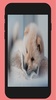 puppy wallpaper screenshot 2