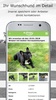 edogs - Deutschlands sicherster Hundemarkt screenshot 6