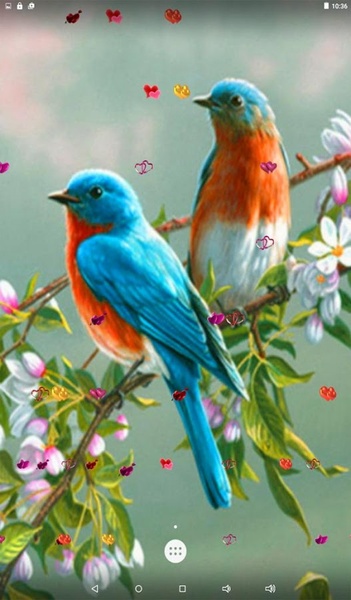 Love Birds Live Wallpaper - Preview 4
