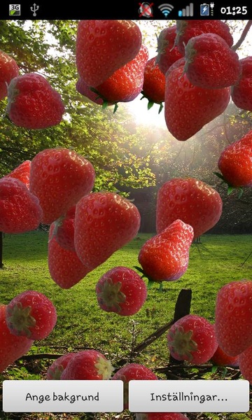 Strawberries Free - Preview 1