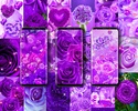 Purple rose live wallpaper screenshot 7