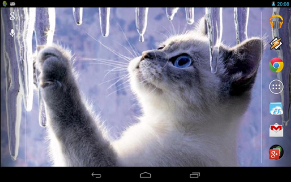 Interactive Kitten - Preview 2