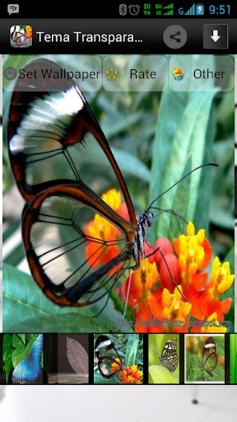 Tema Transparan Android - Preview 3