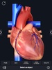 Heart Anatomy Pro. screenshot 5