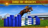 Horse Show Jump 3D screenshot 3