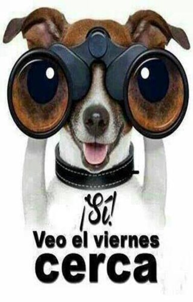 Imagenes de humor 3 - Preview 2