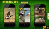 Animals 360 screenshot 3