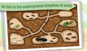 Ant - Insect World screenshot 3