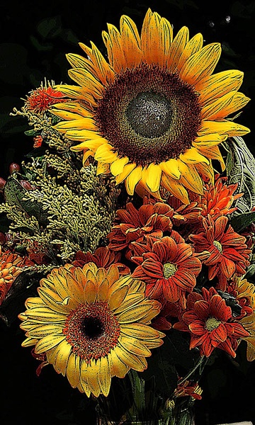 Sunflower Wallpaper - Preview 12