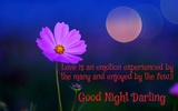 Good Night pictures and wishes, greetings and SMS screenshot 7