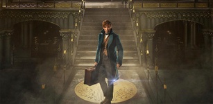 Gambar unggulan Fantastic Beasts: Cases