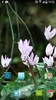 Real Flowers Live Wallpaper screenshot 12