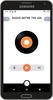 Radio Mitre AM 790 en Vivo App screenshot 4