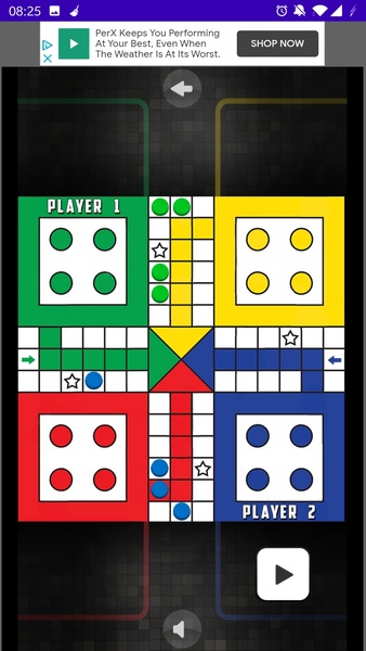 Ludo Sukh - Preview 7