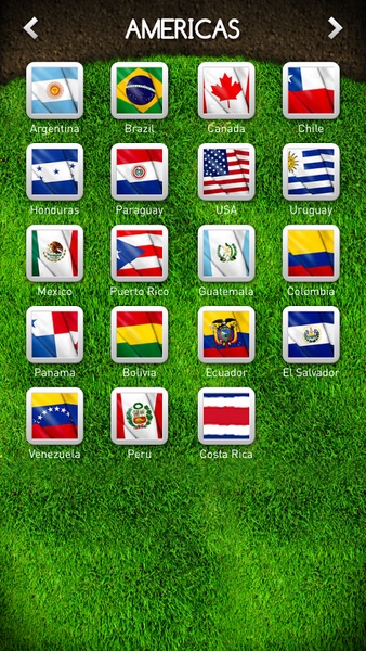 FlagFace - Preview 1