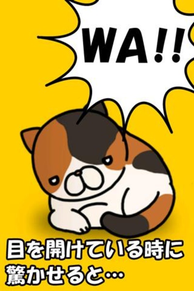 Surprised cat - Preview 3