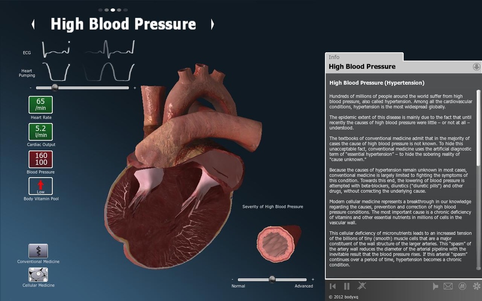 bodyxq heart - Preview 3