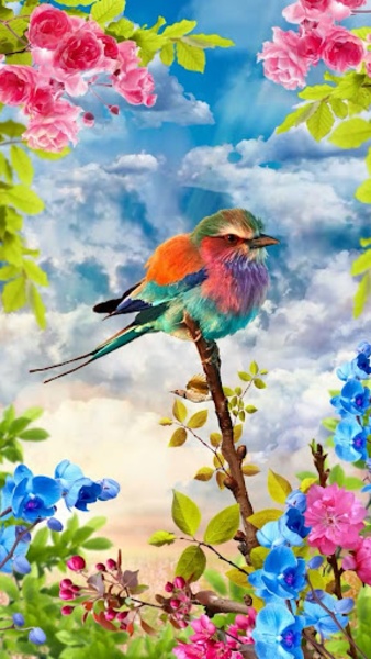 Birds - Preview 2