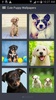 Cute Puppy Wallpapers screenshot 2