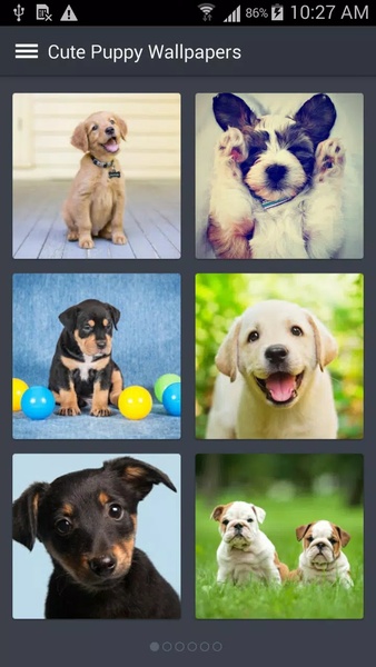 Cute Puppy Wallpapers - Preview 2