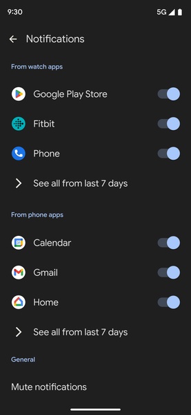 Google Pixel Watch - Preview 5
