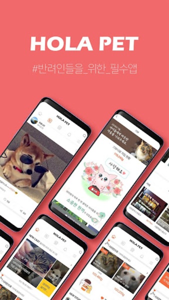 Hola Pet - Preview 8