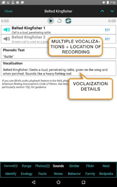 iBird Lite - Preview 12